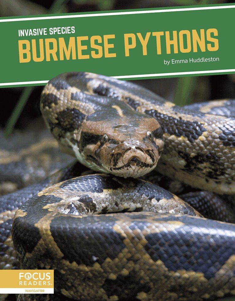 Emma Huddleston - Burmese Pythons, Inbunden