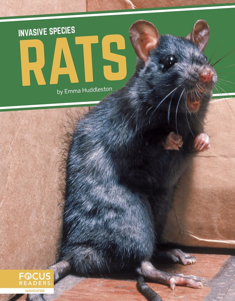 Emma Huddleston - Rats, Inbunden