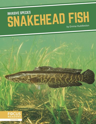 Emma Huddleston - Snakehead Fish, Inbunden