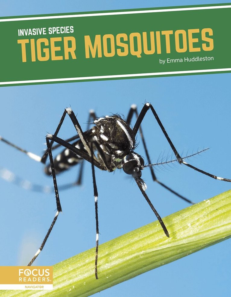 Emma Huddleston - Tiger Mosquitoes, Inbunden