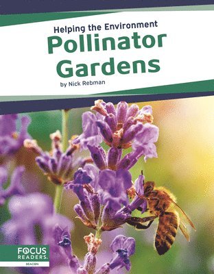 bokomslag Pollinator Gardens