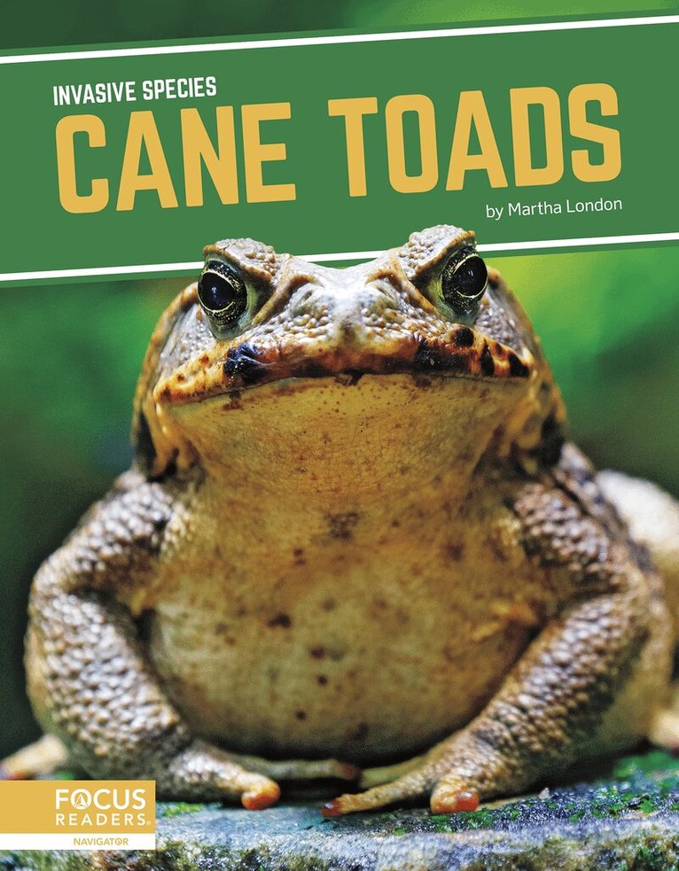 Martha London - Cane Toads, Häftad