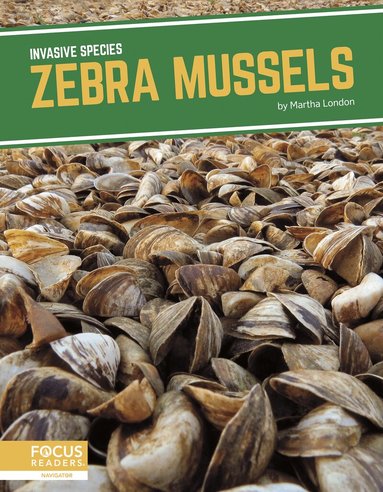 Martha London - Zebra Mussels, Häftad