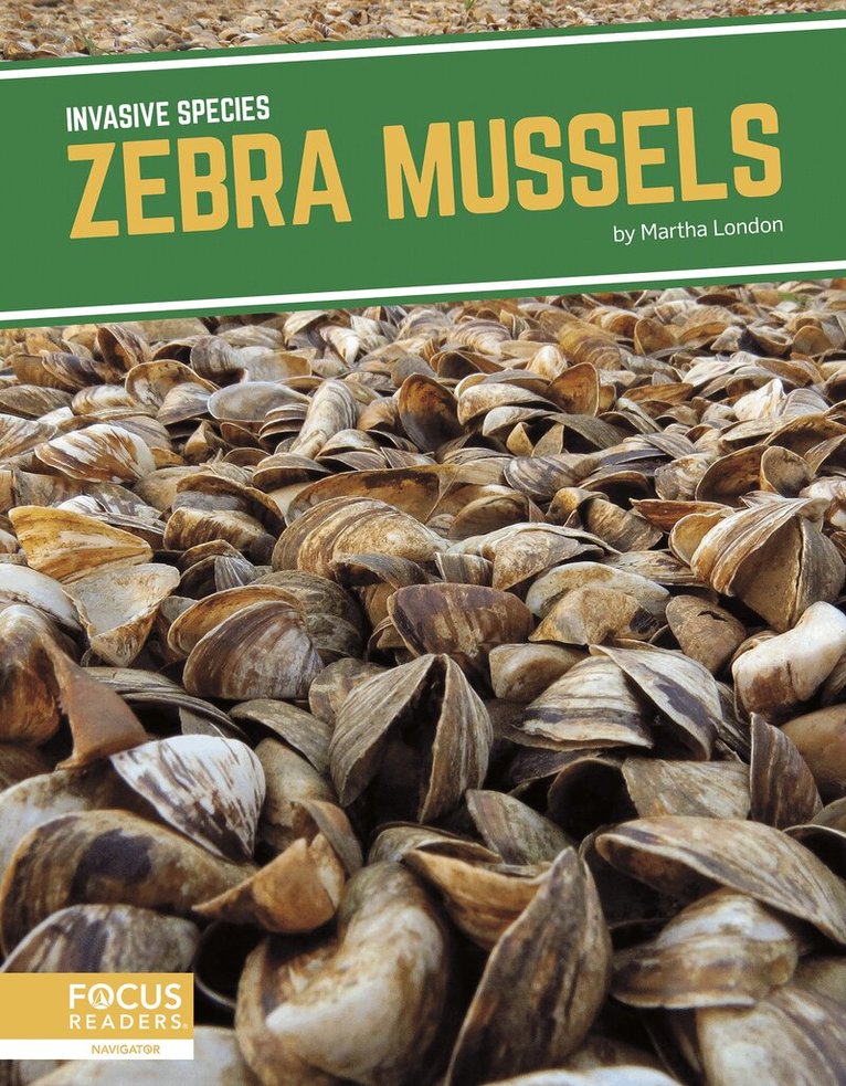 Martha London - Zebra Mussels, Häftad