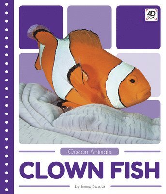 Clown Fish 1