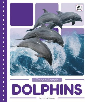 Dolphins 1