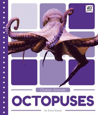 bokomslag Octopuses