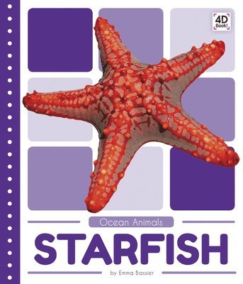 bokomslag Starfish