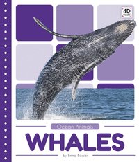 bokomslag Whales