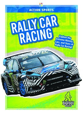 Rally Car Racing 1