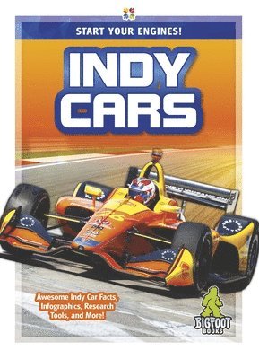 bokomslag Indy Cars