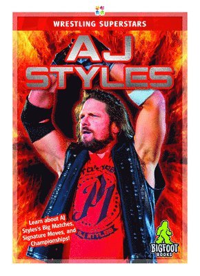 bokomslag AJ Styles