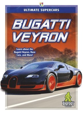 Megan Durkin - Bugatti Veyron, Häftad