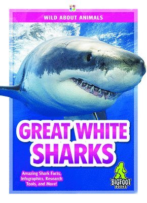 Great White Sharks 1