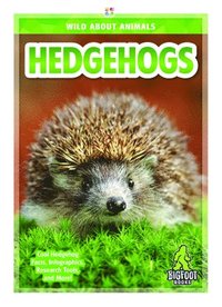 bokomslag Hedgehogs