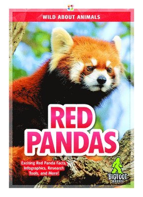 bokomslag Red Pandas