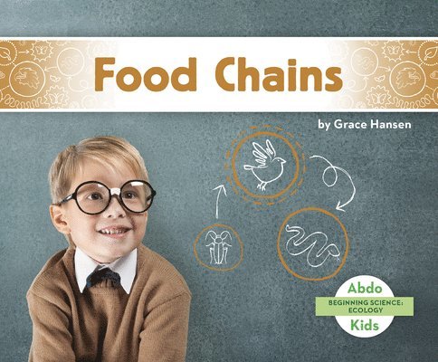 Food Chains 1