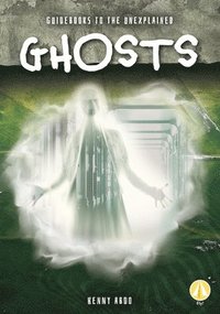 bokomslag Ghosts