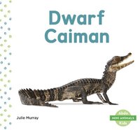 bokomslag Mini Animals: Dwarf Caiman