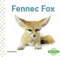 bokomslag Fennec Fox