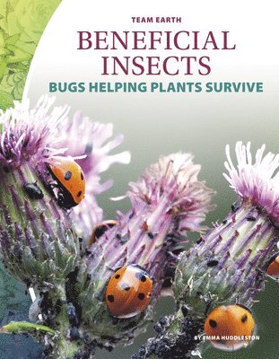 Beneficial Insects 1