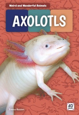 Emma Bassier - Axolotls, Häftad