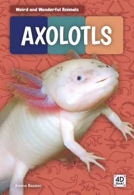 Axolotls 1