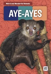 bokomslag Weird and Wonderful Animals: Aye-Ayes