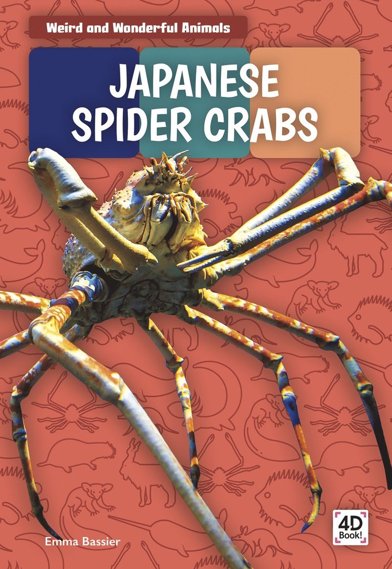 Japanese Spider Crabs