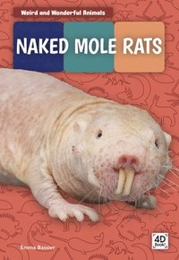 bokomslag Naked Mole Rats