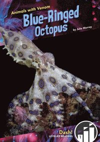 bokomslag Blue-Ringed Octopus