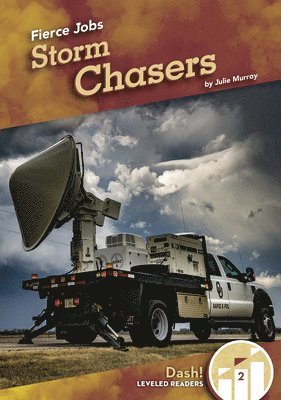 bokomslag Storm Chasers