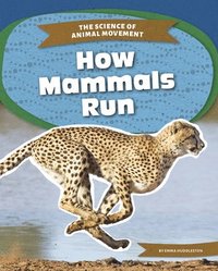 bokomslag How Mammals Run