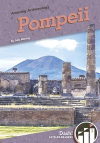 bokomslag Pompeii