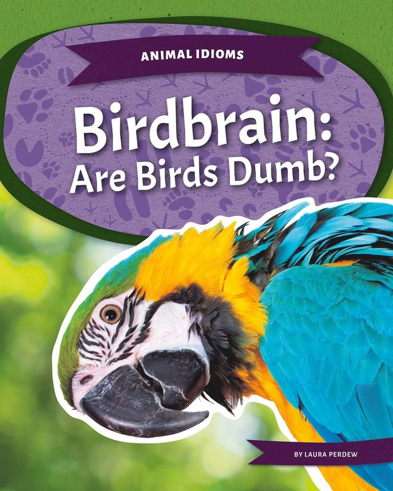 Laura Perdew - Birdbrain, Häftad