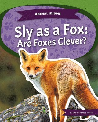 Animal Idioms: Sly as a Fox: Are Foxes Clever? 1