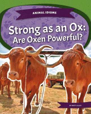 Strong as an Ox 1