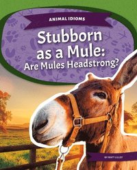 bokomslag Animal Idioms: Stubborn as a Mule: Are Mules Headstrong?