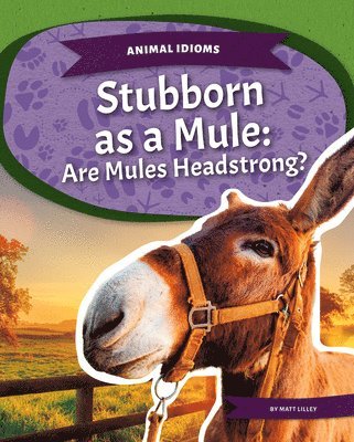 bokomslag Stubborn as a Mule