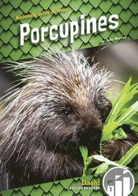 bokomslag Porcupines