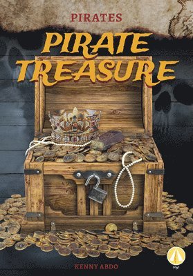 bokomslag Pirate Treasure