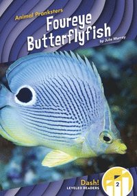 bokomslag Animal Pranksters: Foureye Butterflyfish