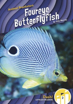 bokomslag Foureye Butterflyfish