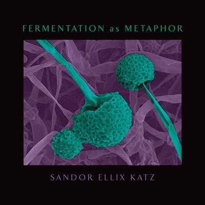 Fermentation as Metaphor 1