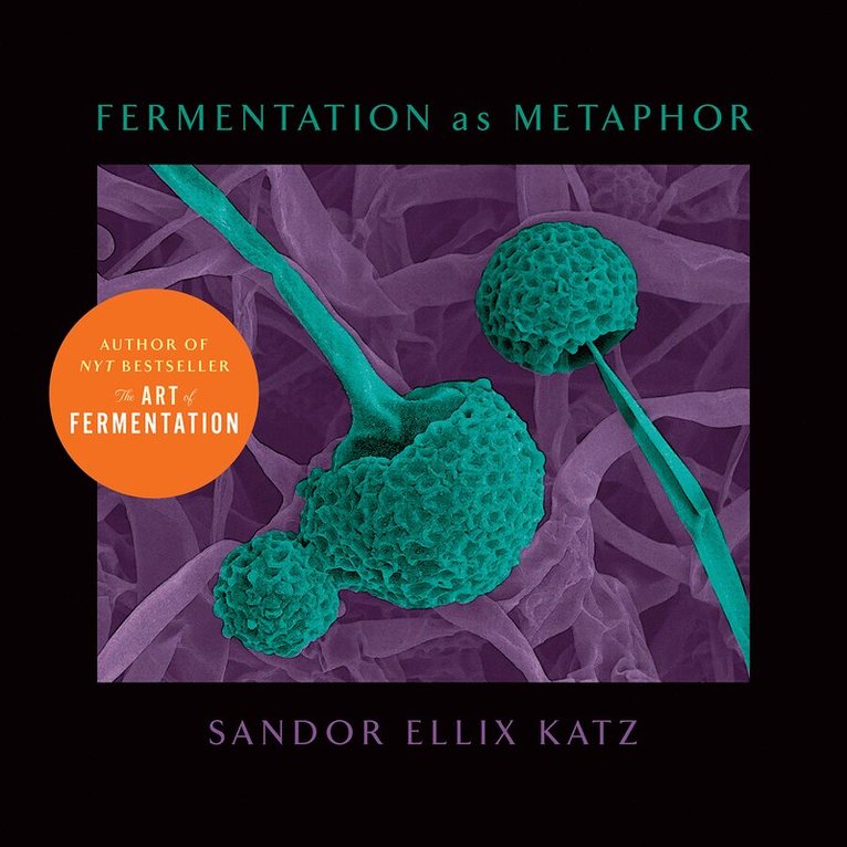 Sandor Ellix Katz - Fermentation as Metaphor, Inbunden