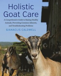 bokomslag Holistic Goat Care