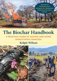 bokomslag The Biochar Handbook