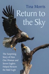 bokomslag Return to the Sky