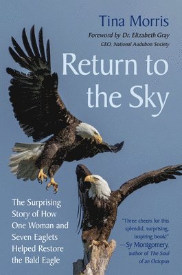 Return to the Sky 1