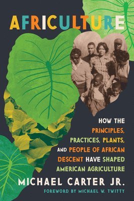 bokomslag Africulture